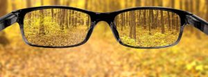 black glasses looking at woods