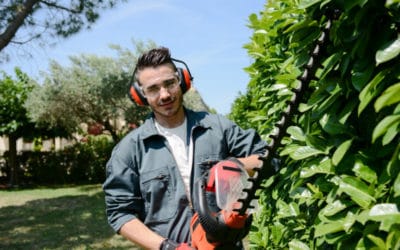 Protect Your Eyes for Fall Yard Work